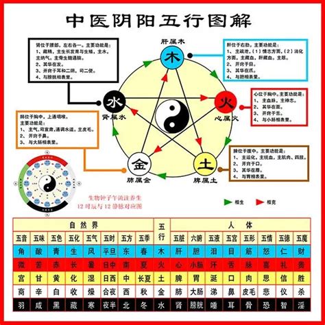 鼻 五行|史上最全：中医五行、五脏、五味、五色、五官、五情、五季、五。